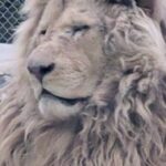 Profile photo of Joe
