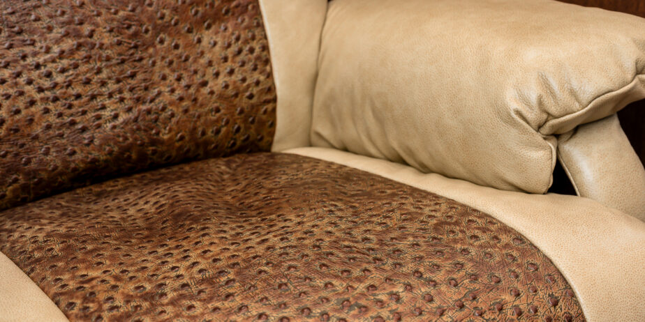 luxury-rv-marathon-coach-1367-3